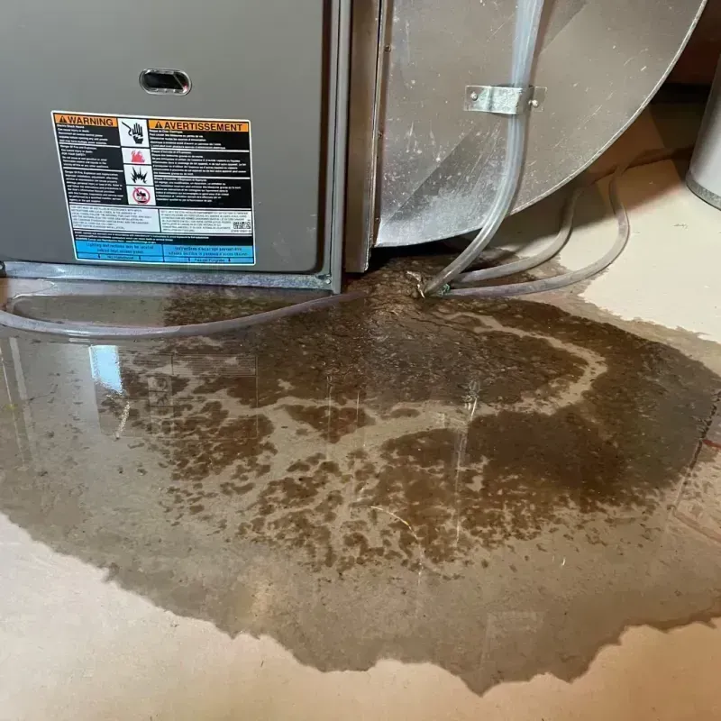 Appliance Leak Cleanup in Pine Bluff, AR